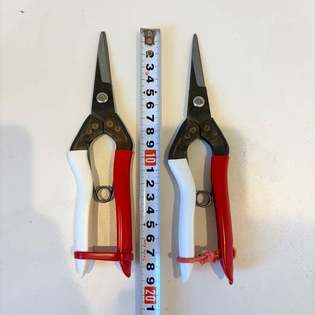 岡恒　芽切鋏　紅白　No304 60本セット【新品、未使用】　約19cm