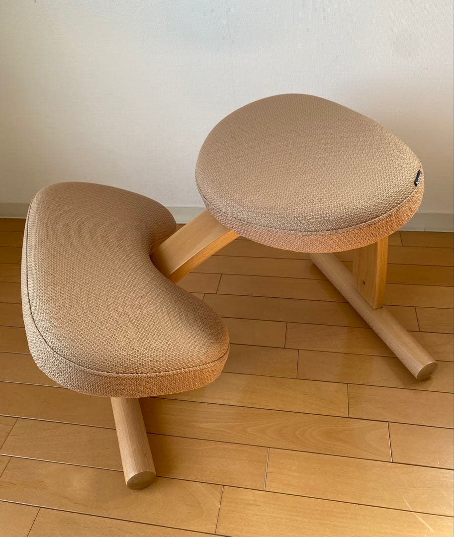 美品　純正黒カバー付き　バランスイージー　ショートフレーム