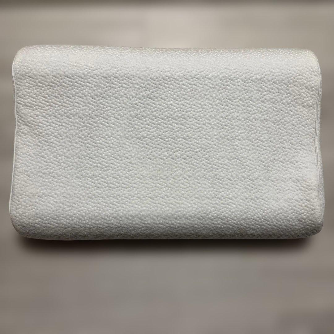 ヒツジのいらない枕 至極 テンセル枕カバー付