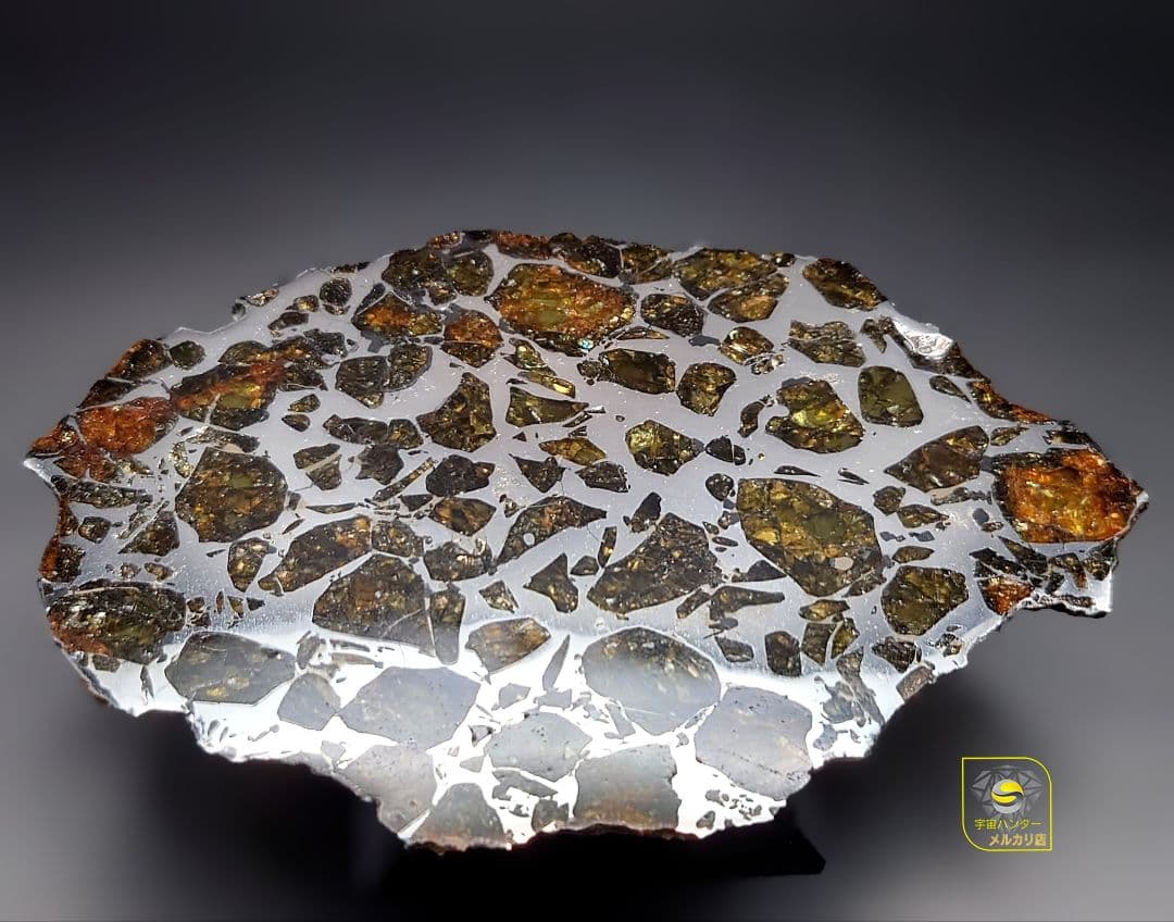 つう✨隕石 Provisional NWA16799 102.75g ⭐