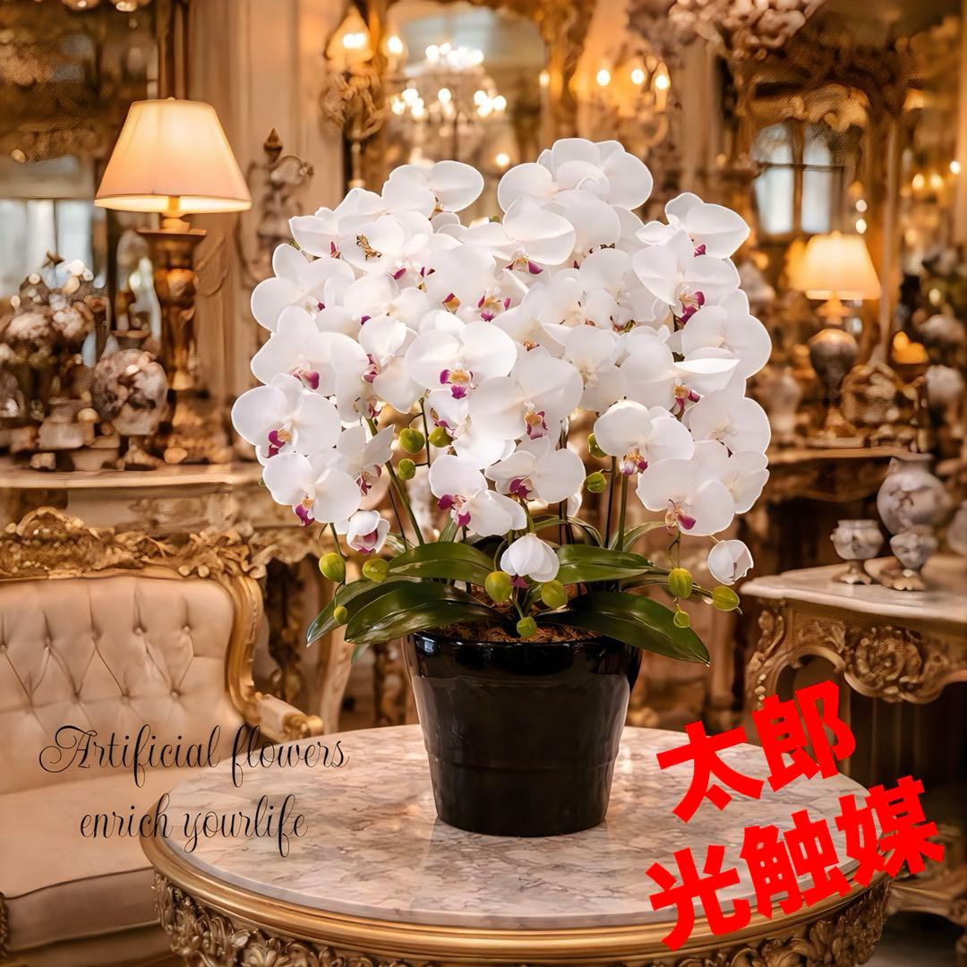 光触媒　人工観葉植物　ウォールグリーン　クィーン胡蝶蘭5本w/ab高さ74センチ