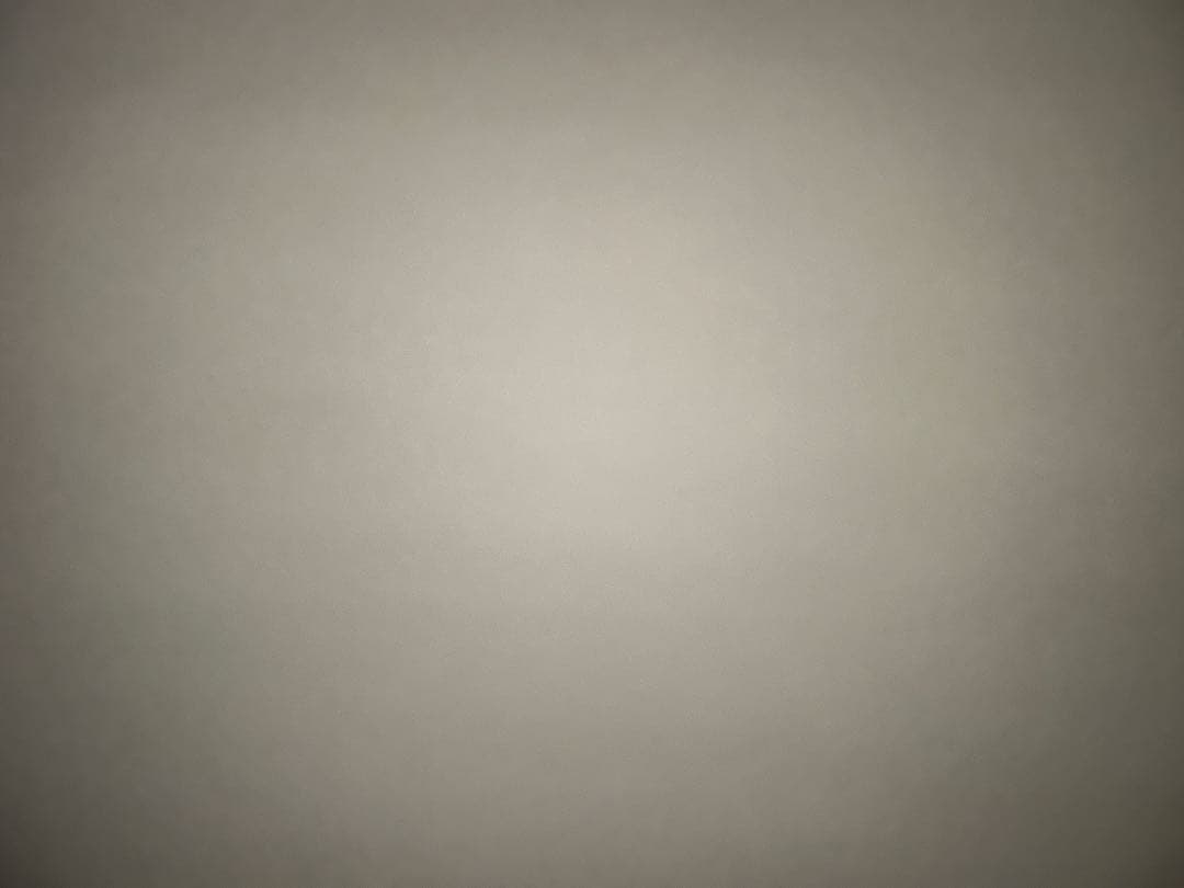 SBD ベルト