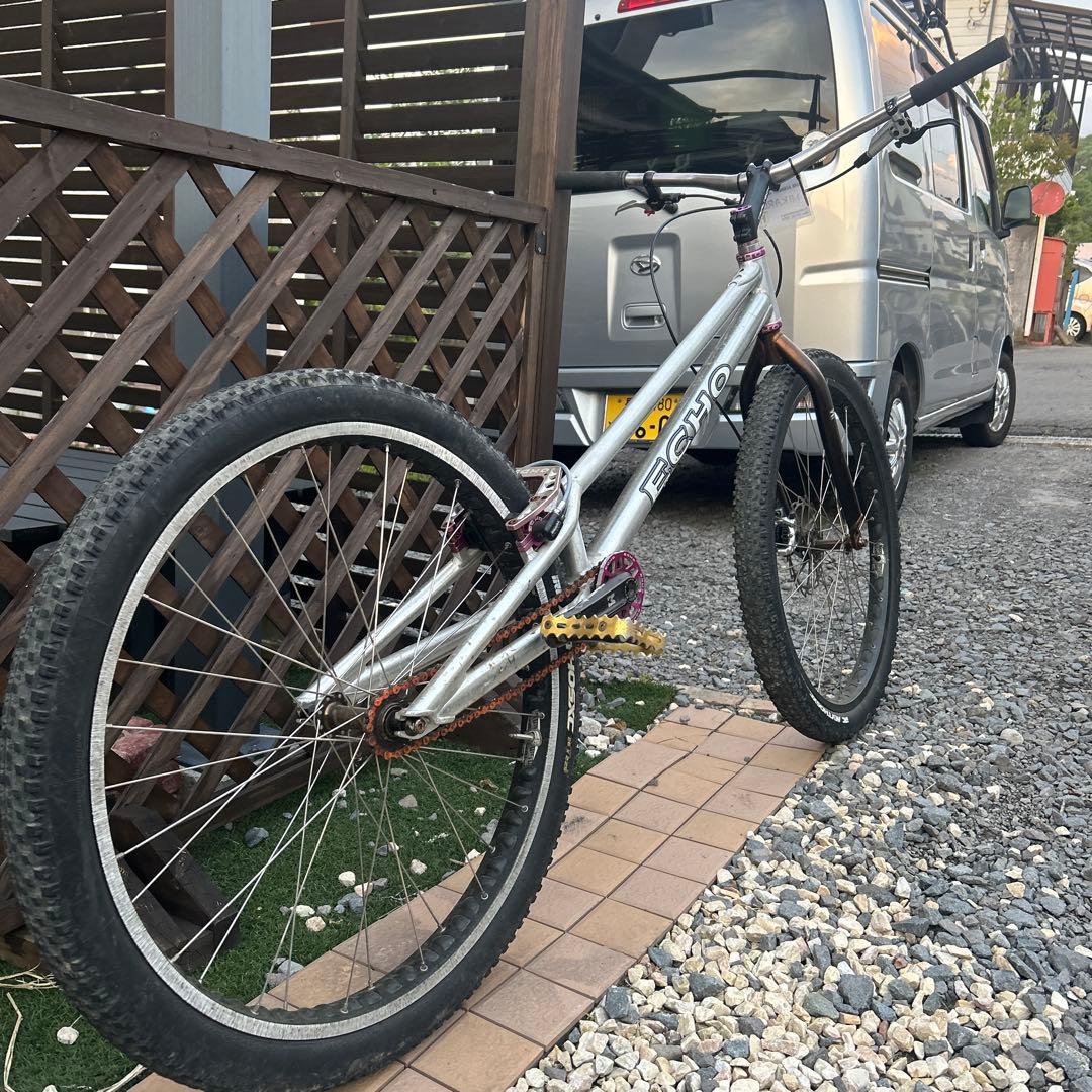 ECHO トライアル