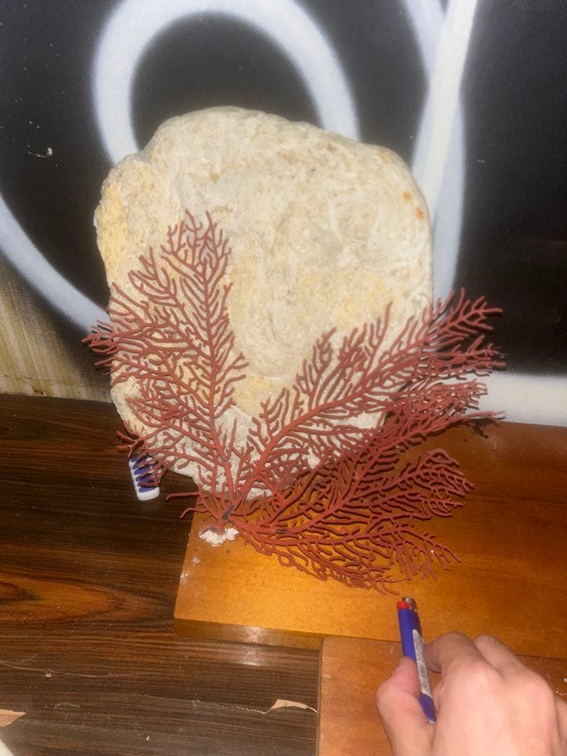 赤いサンゴのインテリアオブジェ