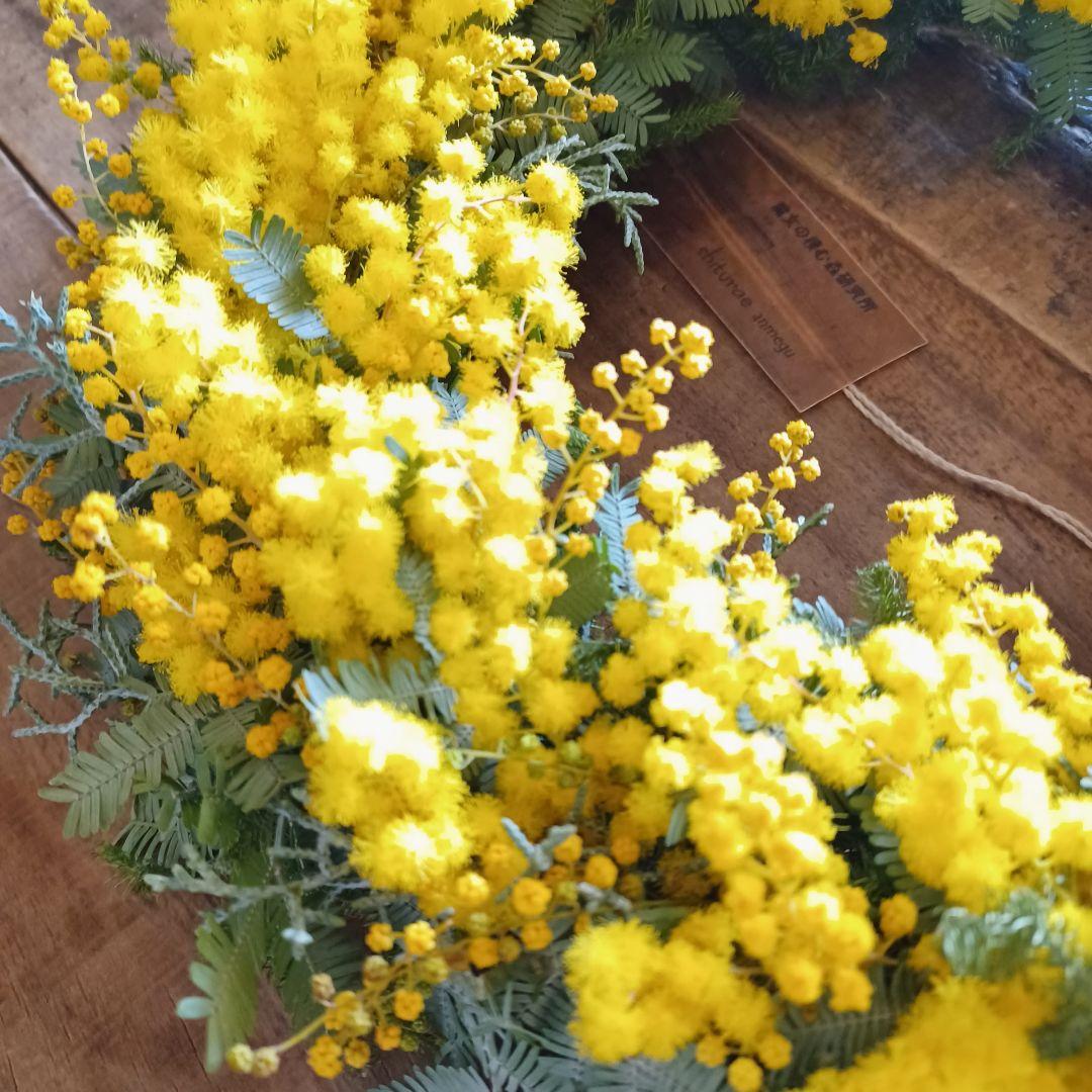 新品 未使用 ミモザ リース ドライフラワー 30cm 【ご予約スタート】