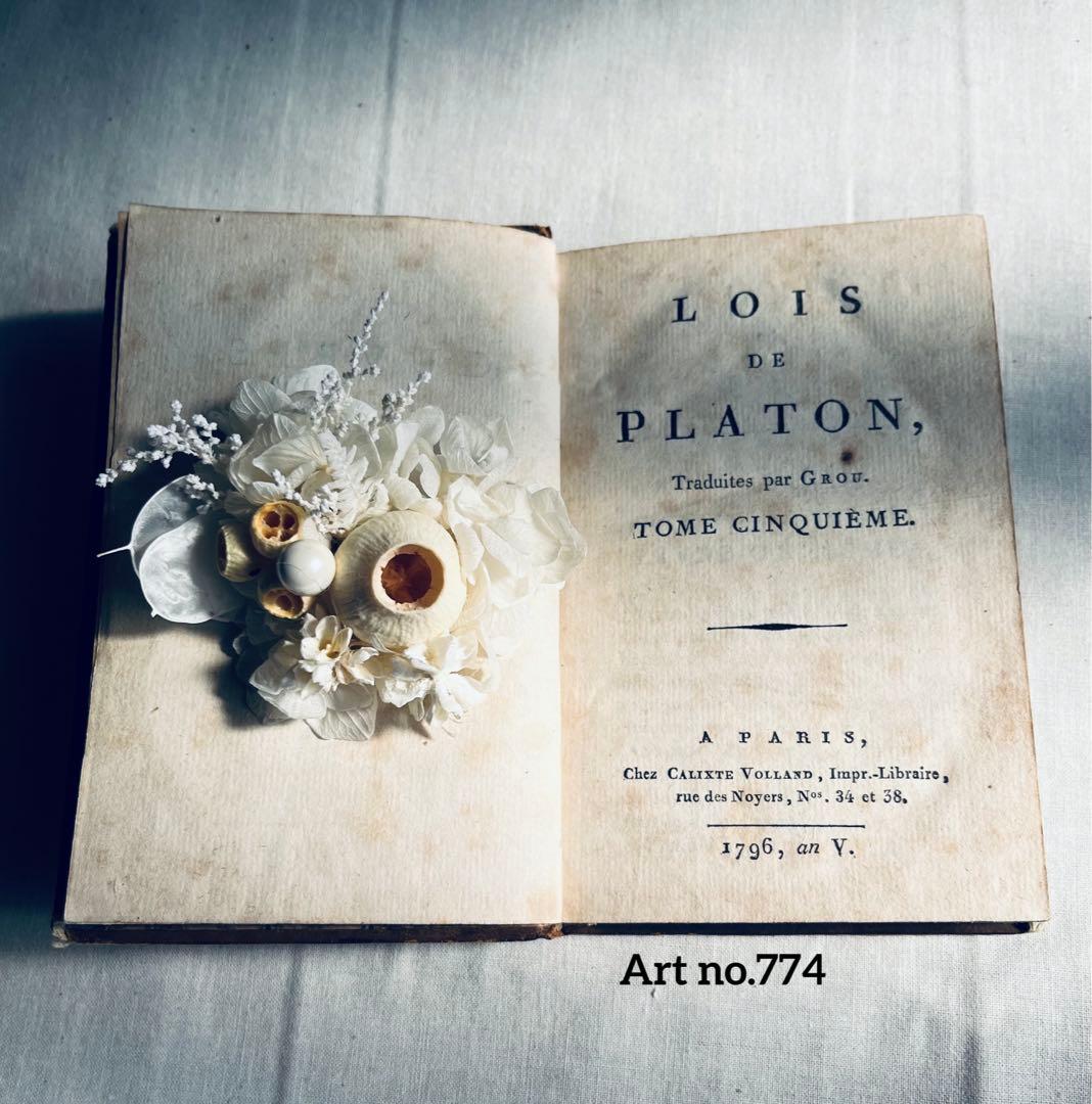 フラワー・ガーデニング corsage no.774