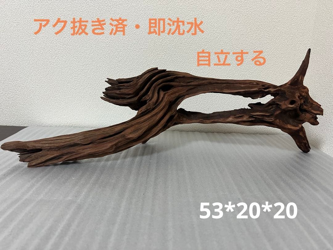 HX-081 流木　ホーンウッド　マシンガンウッド　アクアリウム　ブランチウッド
