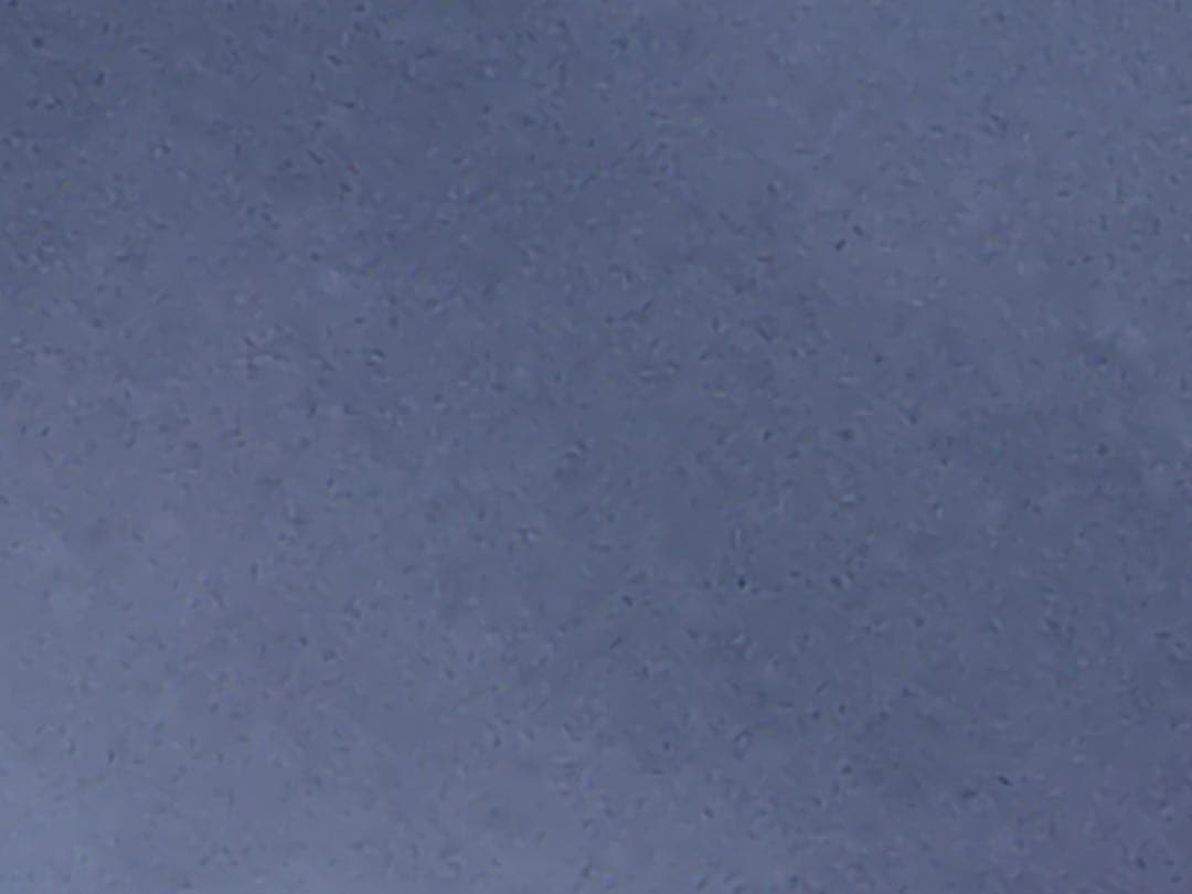 あこさま専用　他の方無効