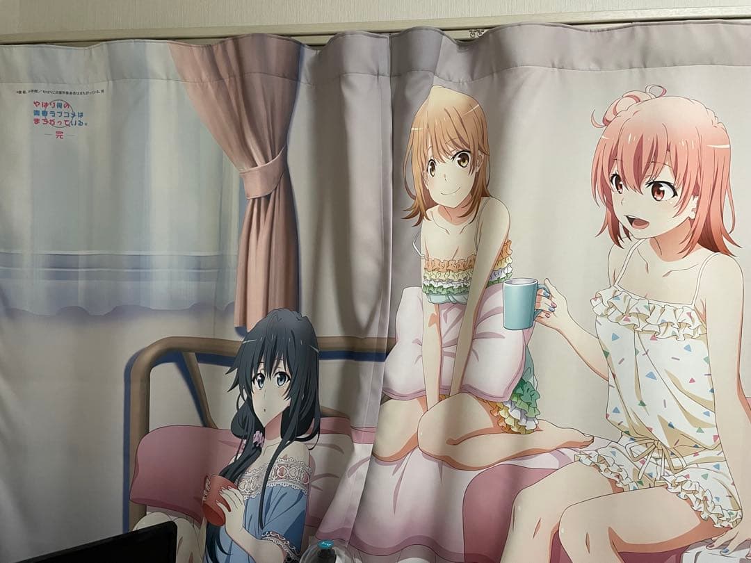 やはり俺の青春ラブコメはまちがっている カーテン 俺ガイル カーテン