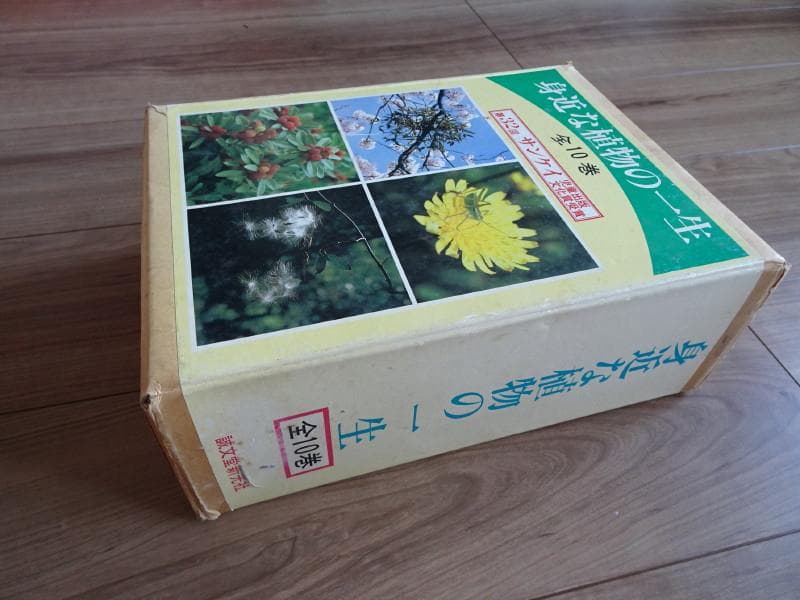 希少な植物図鑑　身近な植物の一生（全10巻）南光重毅著