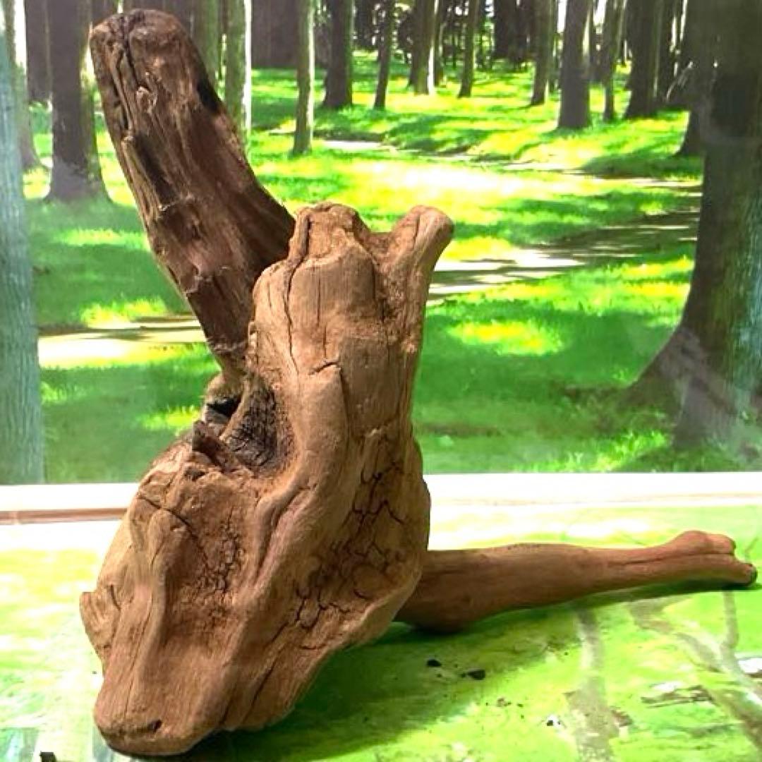 コエポン様 リクエスト 5点 まとめ商品