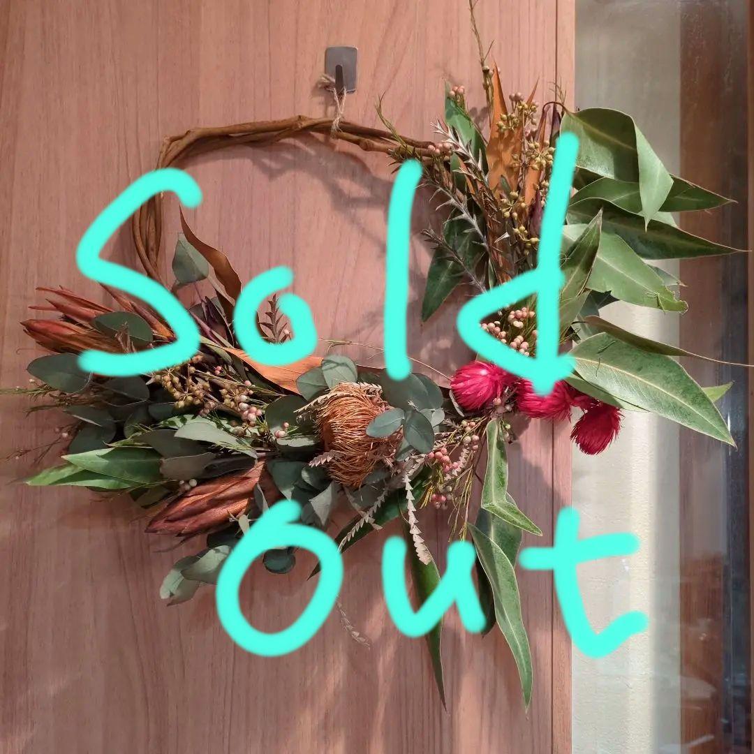 ドライフラワー★夏色ネイティブリース★プロテア　フォルモーサ