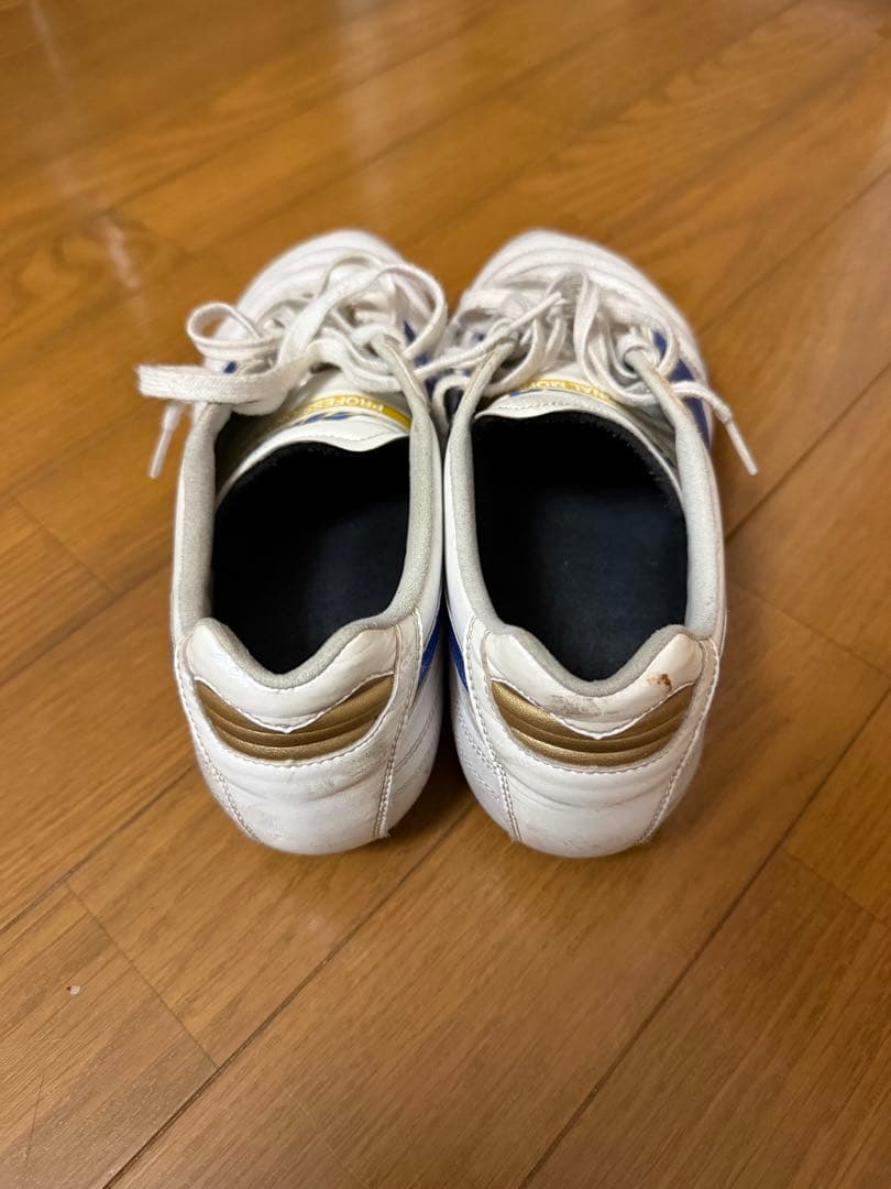 モレリア2 Japan 限定カラー