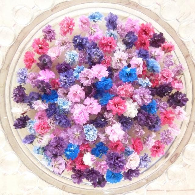 パール‎‎様【訳あり】かすみ草♡（ 842 ドライフラワー パーツ レジン)