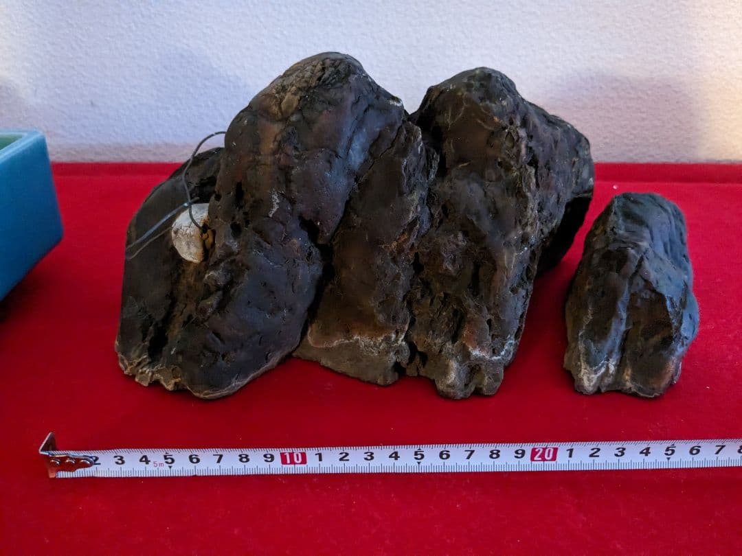 素晴らしい盆栽の石(石付きのおすすめです)