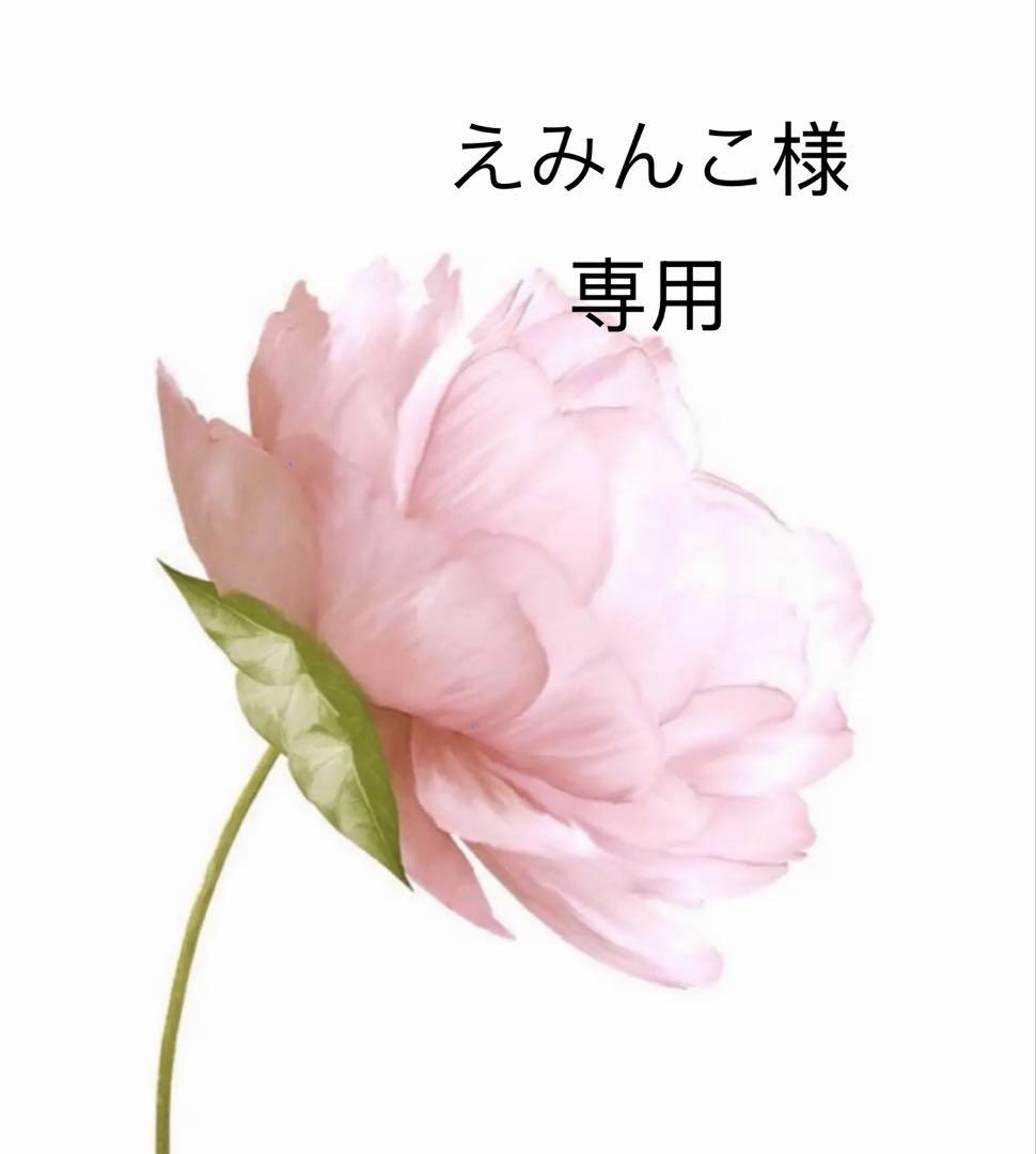 えみんこ