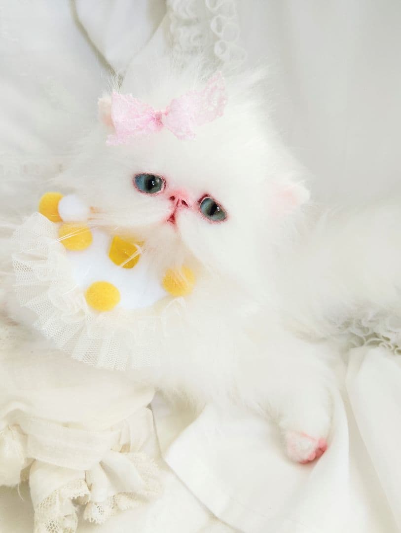 まなあきちゃん御予約❤️生後3ヶ月♡天使みたいな♡子猫ちゃん♡アートドール♡