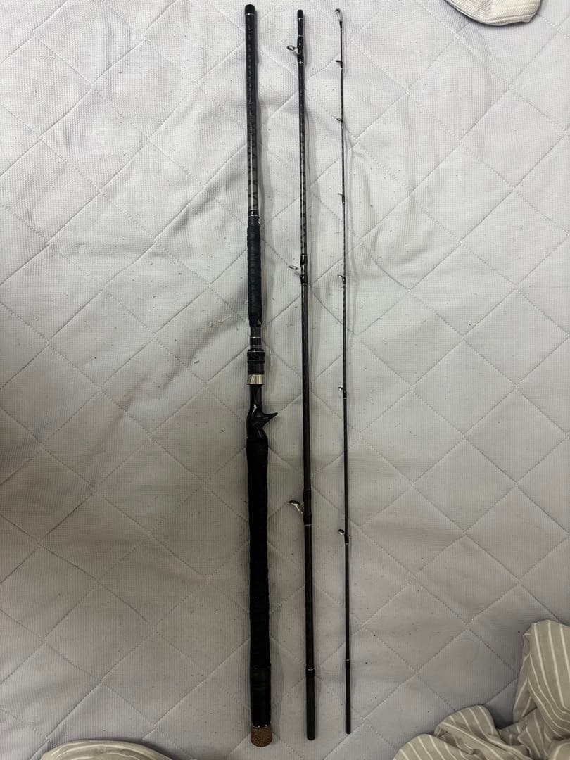 自作ベイトシーバスロッド　9.6フィート　M調子