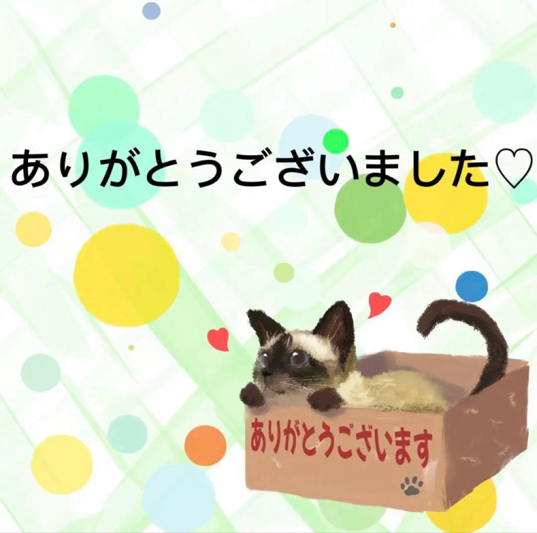 【9465】海外　マステ　4.5/巻　PETマスキングテープ　猫　お花　動物系