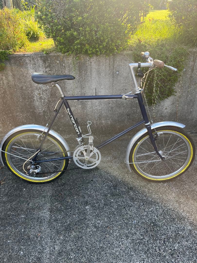 ヒカル　　　ロイヤルノートン