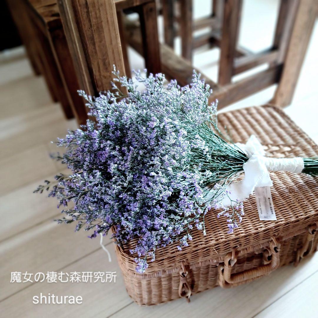 ・*.punchan‪‪‪.*¨̮・様 ドライフラワー スワッグ