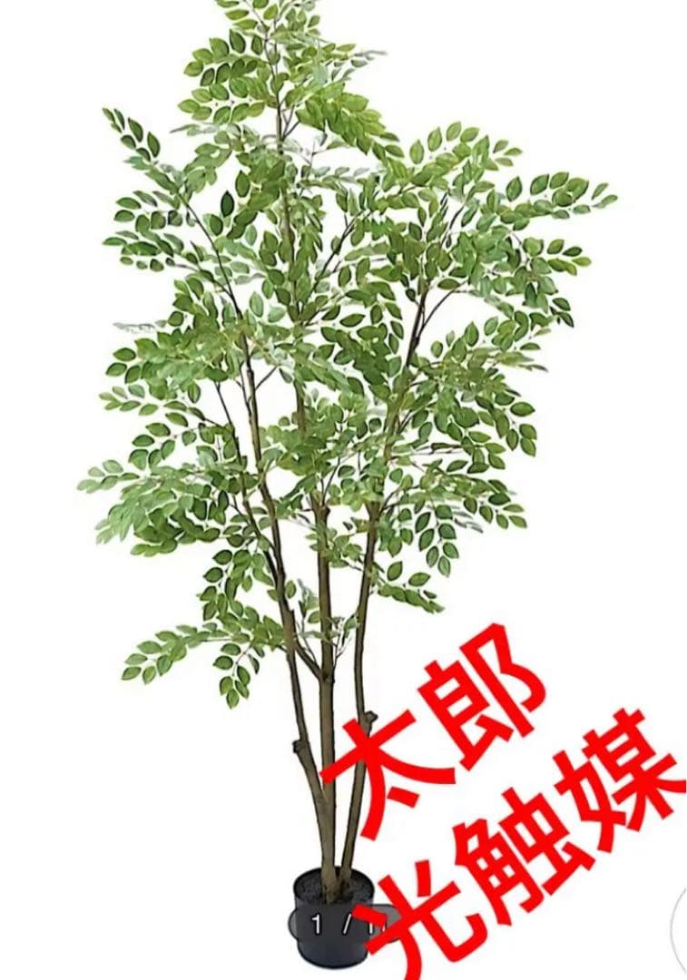光触媒　人工観葉植物　ウォールグリーン　フェイクグリーン　トネリコ180180