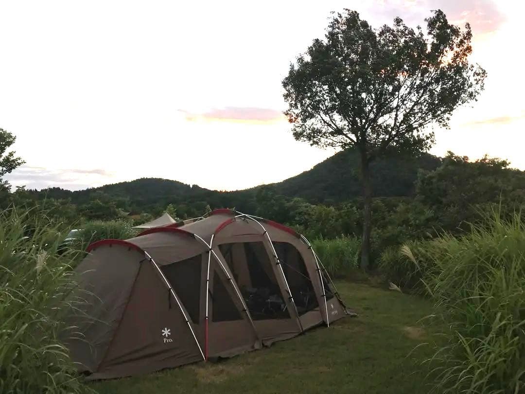  Peak トルテュpro TP-770R テント