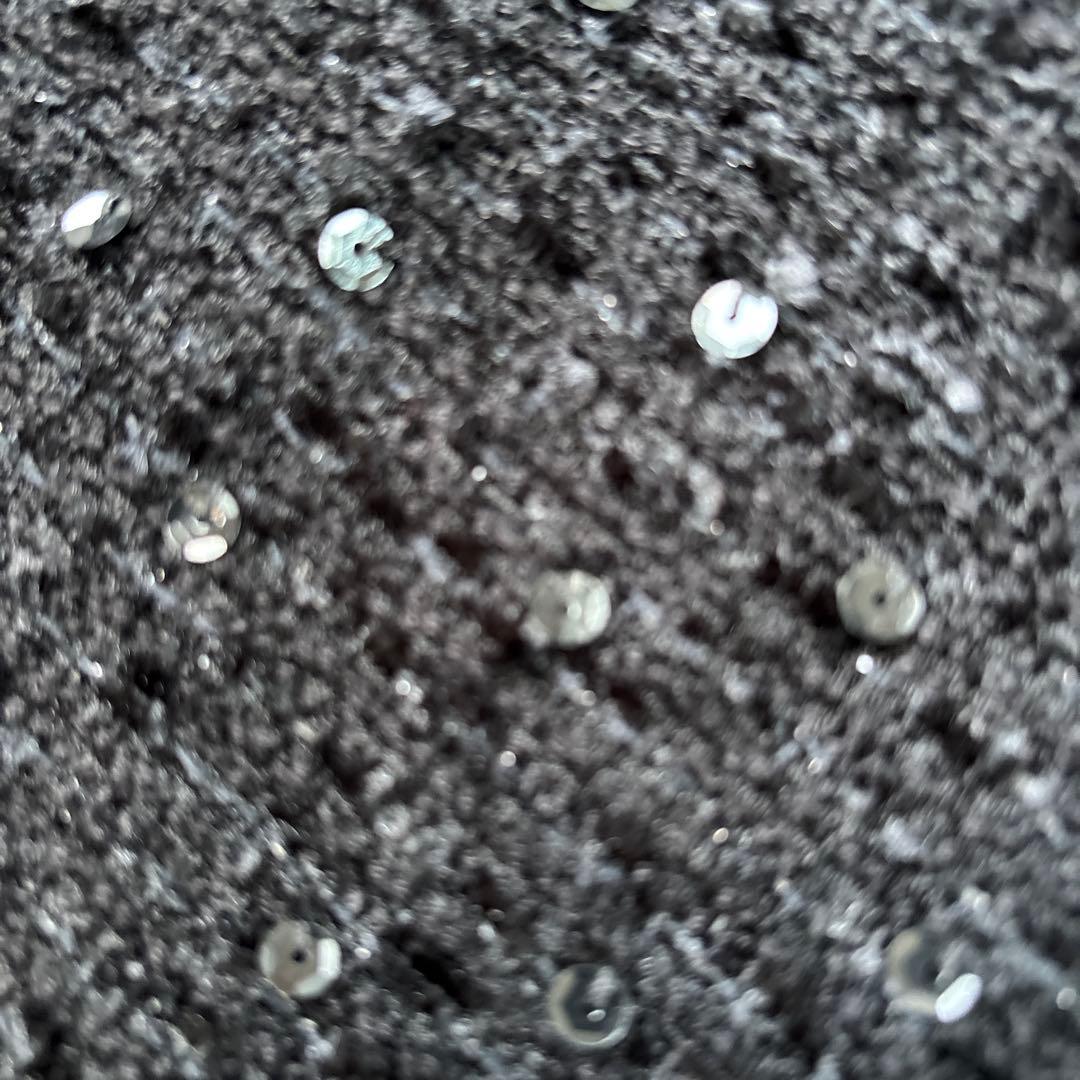 レナートヌッチ　スパンコールコート