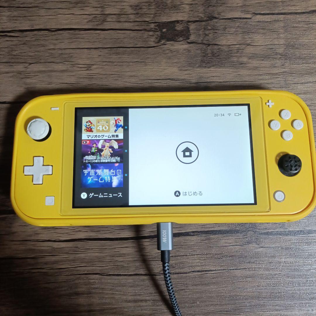 Switchライト ニンテンドースイッチ ケース付き