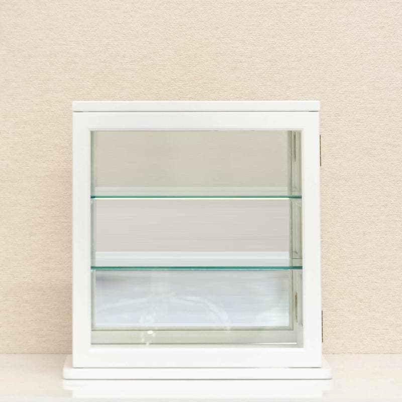 《新品・送料無料》スリムコレクションケース　ヨコ型　BR/WH