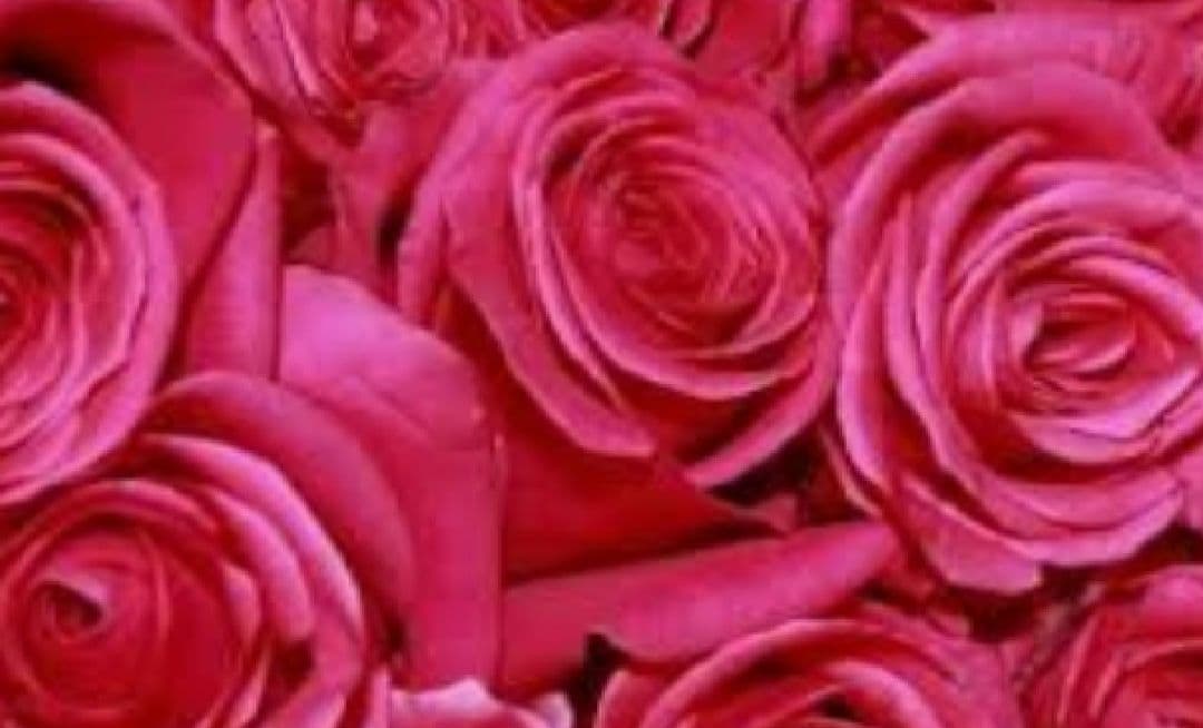 くまさん様 サテンペプラムブラウス