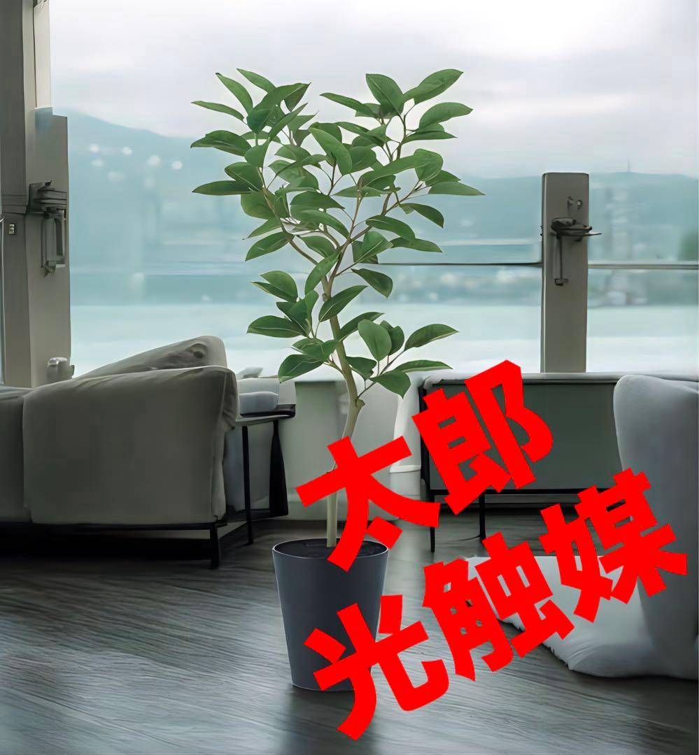 光触媒　人工観葉植物　ウォールグリーン　フェイクグリーン　デコラゴム150