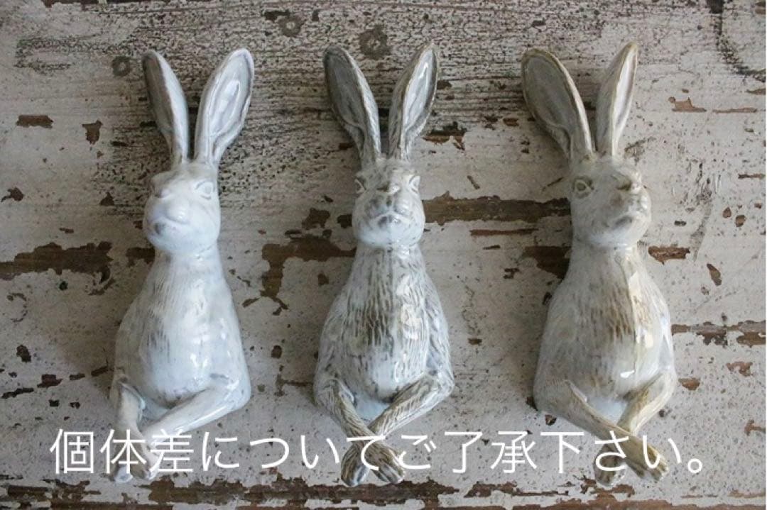 ヤナカーン　うさぎ