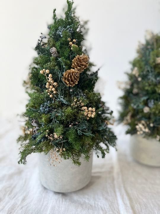 ✳︎new arrival✳︎christmastreeクリスマスツリー⑥gold