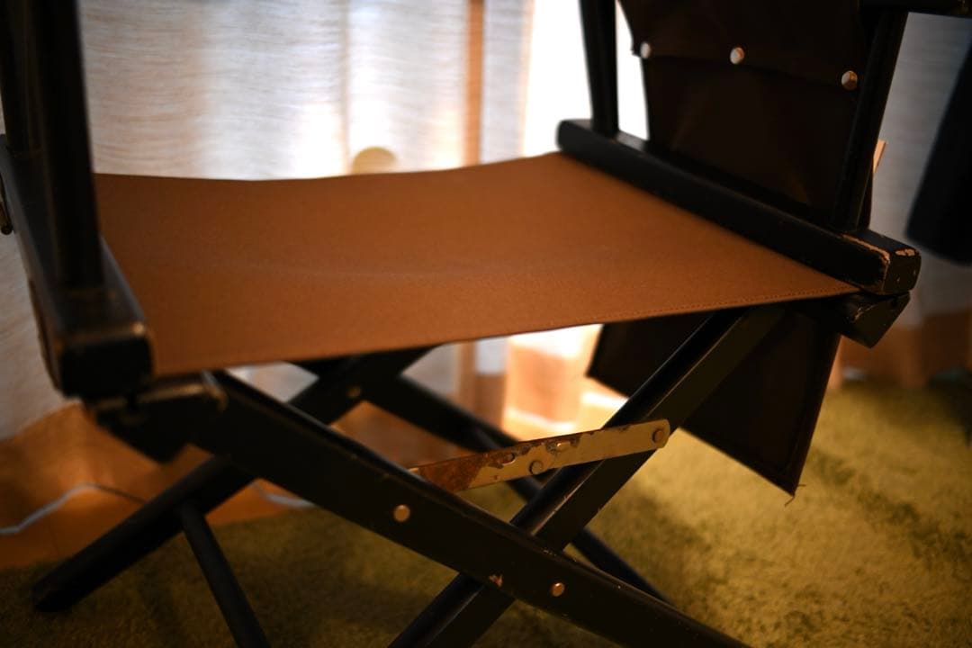 Kodak Professional Film ディレクターズチェア