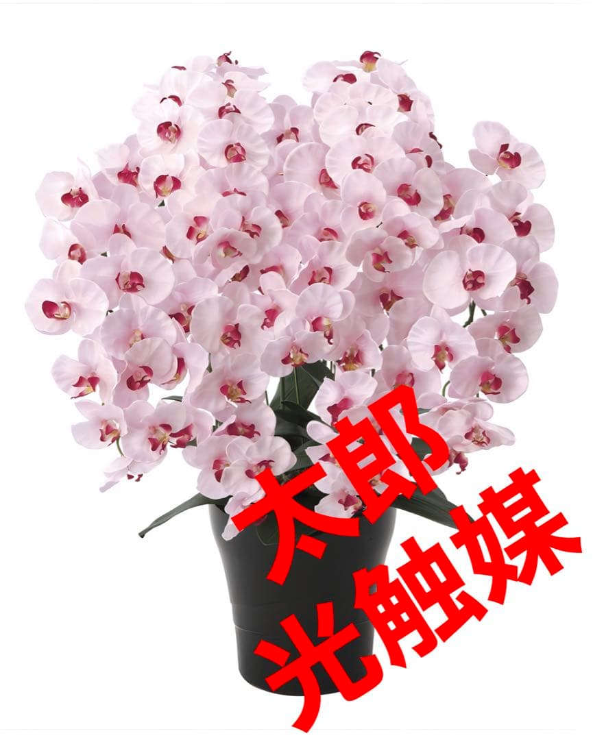 光触媒　人工観葉植物　フェイクグリーン　プレミアム胡蝶蘭7本立P
