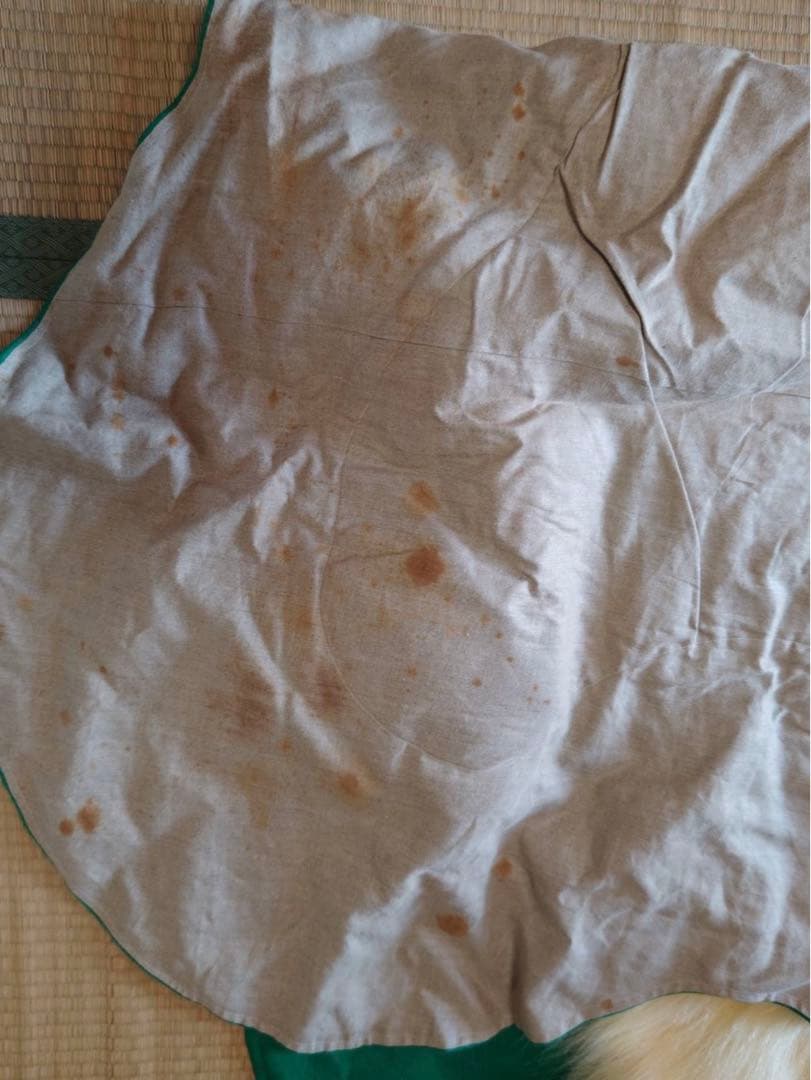 シロクマ　剥製カーペット