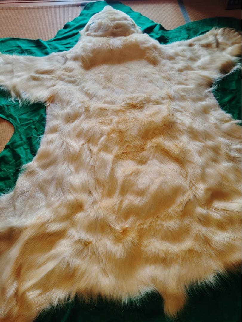 シロクマ　剥製カーペット