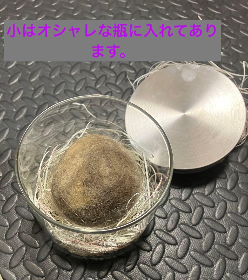 インテリア　珍品　プレゼント　猫